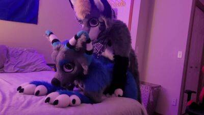 Sucking Dick - Freaky Furry Copulation and Blowjob In Cute Wolf and Raccoon Costumes - anysex.com